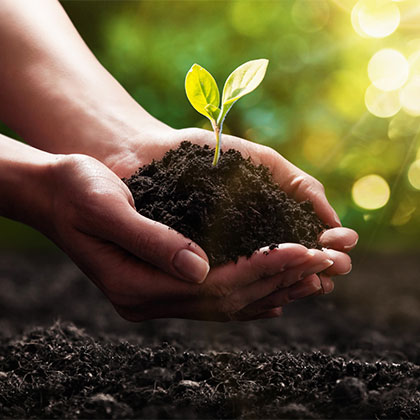 About BioGreen